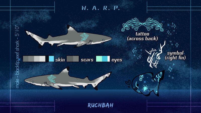 Shark RefSheet Shark RefSheet